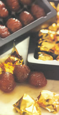 Marrons glacées